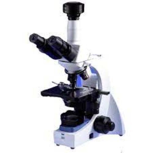 Compound Microscope