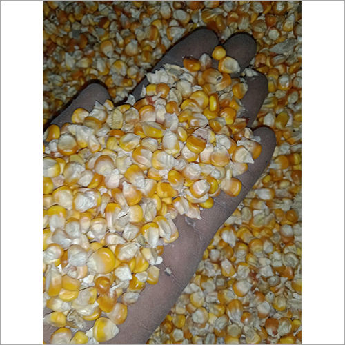 Organic Yellow Maize