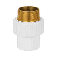 UPVC Brass Male Thread Adapter.