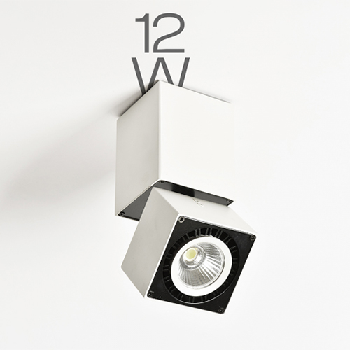 12W Aluminium Light