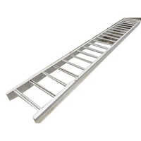 Ladder Cable Tray