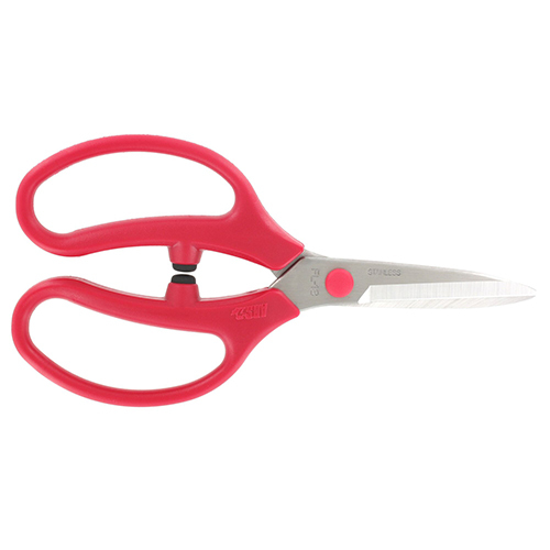 Not Coated Stainless Steel Garden Flower Scissor