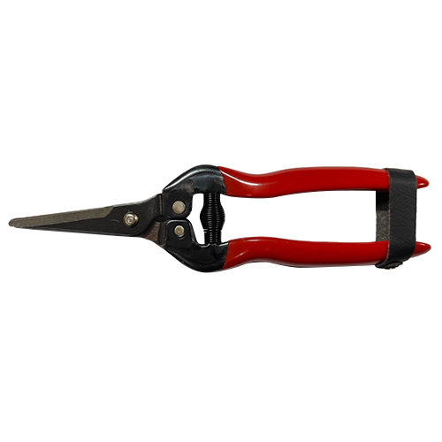 Plastic Coated 803 - B Straight Grapes Snips