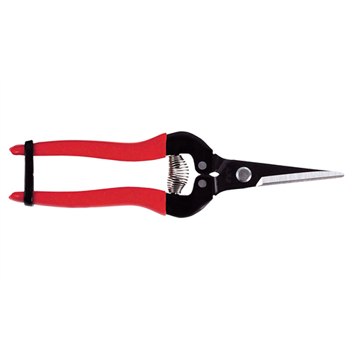 Plastic Coated Ars 300l Semi Professional Fruit Pruner at Best Price in