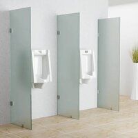 Frosted Glass Urinal Partition