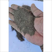 Black Pepper - Co2 Spent, Round Shape, Black Color, 6-month Shelf Life, Store In Cool And Dry Place