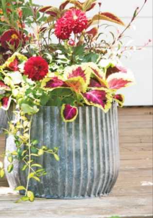 IRON RIBBED PLANTER