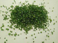 natural recycling pure dark green silica quartz chips for industrial color pint used or decoration application non removed color chips