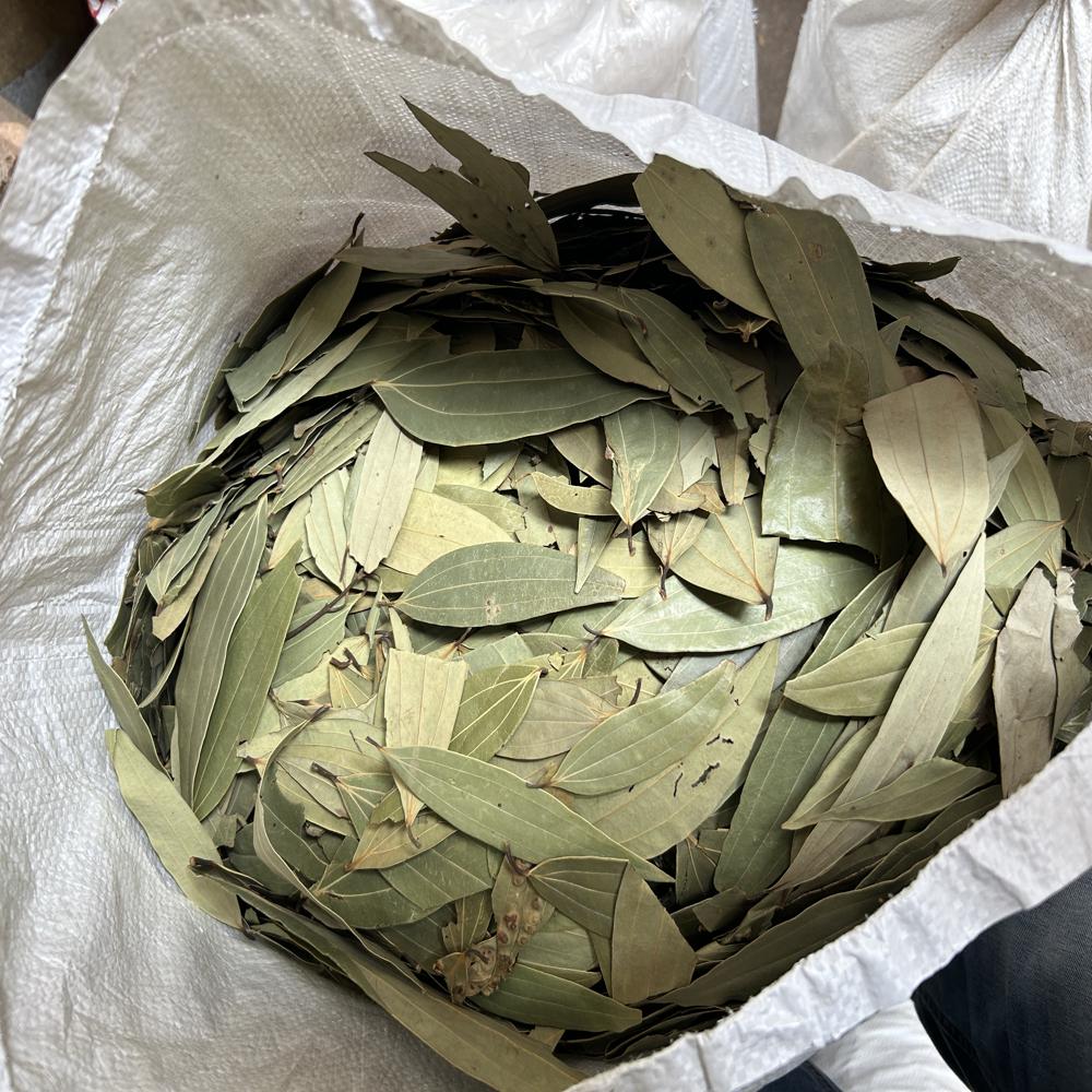 Bay Leaf (Tejpatta)