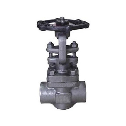 FCS Gate Valve