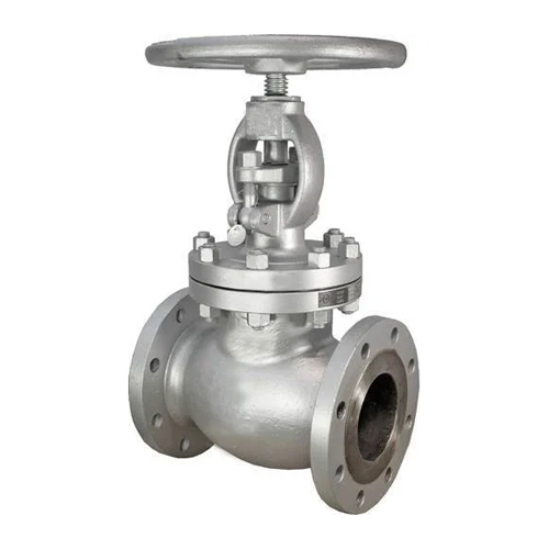 SS Globe Valve