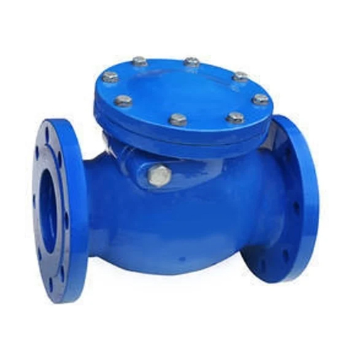 SS Non Return Valve