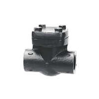 Horizontal FE Check Valve