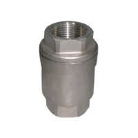 Vertical Check Valve