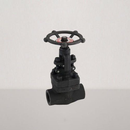 ASTM A105 Gate Valve