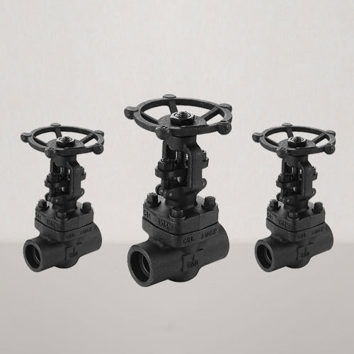 Forged Steel Globe Valve