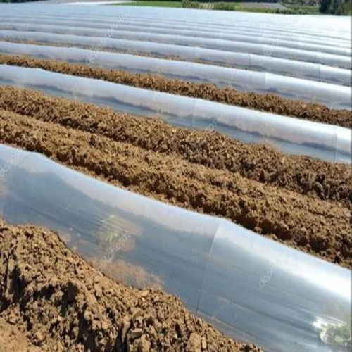 Agriculture Polyethylene Sheet Hardness: Rigid