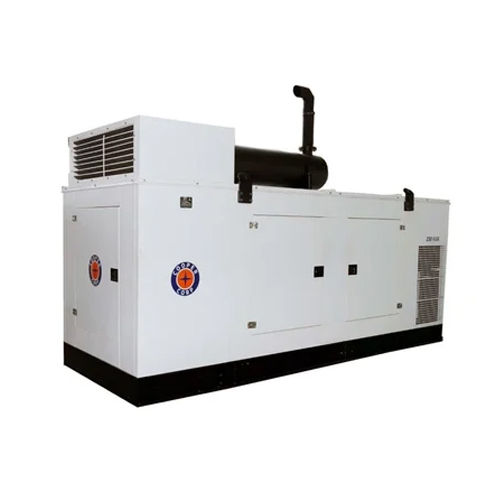 250KVA Silent DG Set