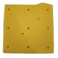 PULSAR BS6 Foam Filter