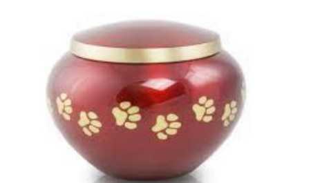 Modern Arts Odyssey Pet Urn Red Colour