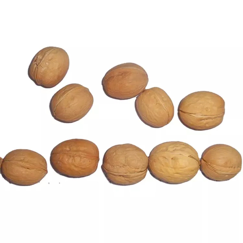 New Crop Chinese Walnuts With Shell Origin: Xinjiang at Best Price in ...