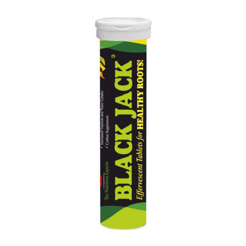 Black Jack