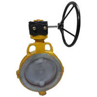 PTFE Lined Butterfly Valve