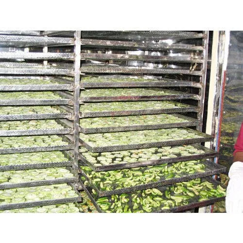High Efficiency Industrial Vegetable Dryer