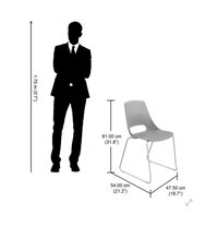 Hall Meeting Chair