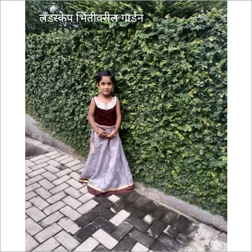 Landscape Bintivaril Garden Services