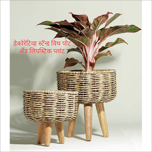 Decorative Stand With Pot