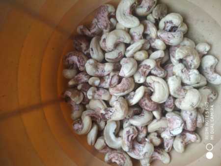 Cashew Nuts