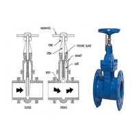 Gate and Globe Valve