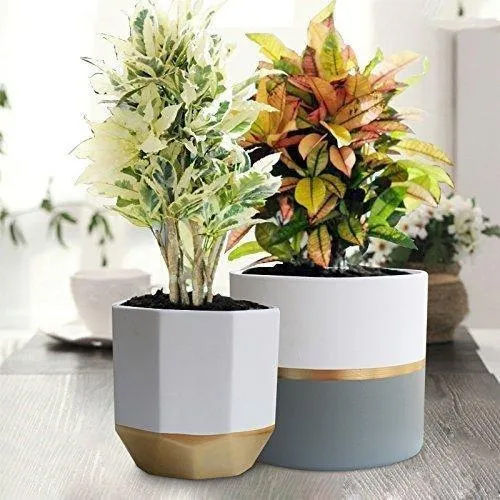 Garden Indoor Planters