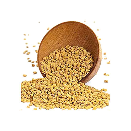 Fresh Fenugreek Seed