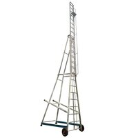 Aluminium Telescopic Trolley Ladder