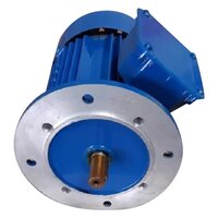 3 HP Three Phase Electric Motor