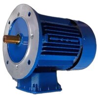 3 HP Three Phase Electric Motor