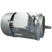 3 HP 220 V Mild Steel Three Phase Electric Motor