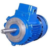 12.5 HP Cast Iron Three Phase Electric Motor