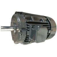 415 V 1440 RPM Cast Iron Three Phase Electric Motor