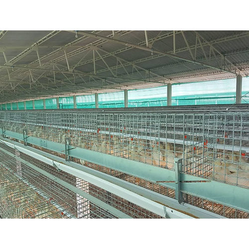 Chicks Gum Grower Poultry Cage - Feature: High Quality