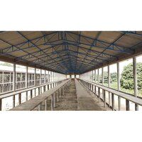 Poultry Layer Farm Civil Construction Services