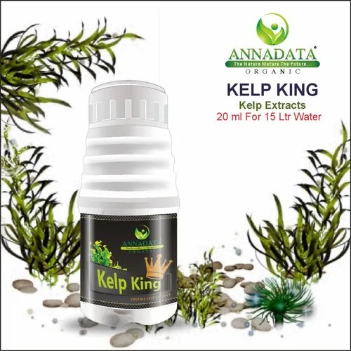 Kelp Extract