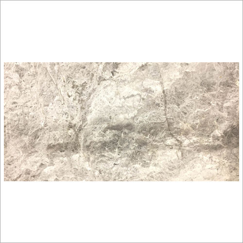 Polished Alaska Grey Light Premium Marble