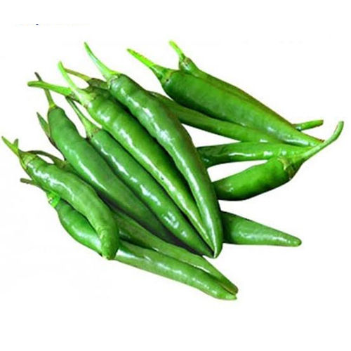 Straight Green Chilli