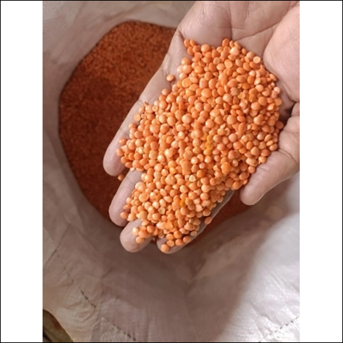 Red lentils