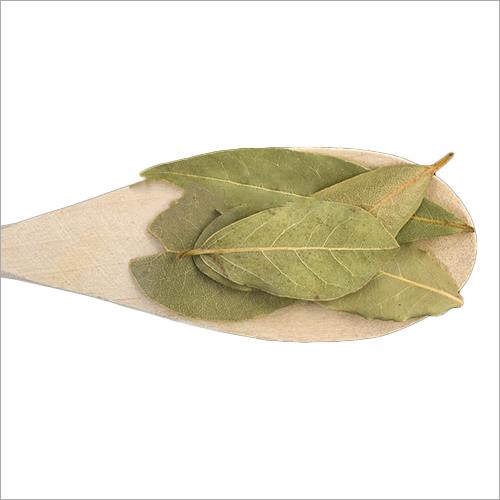 Bay Leaf