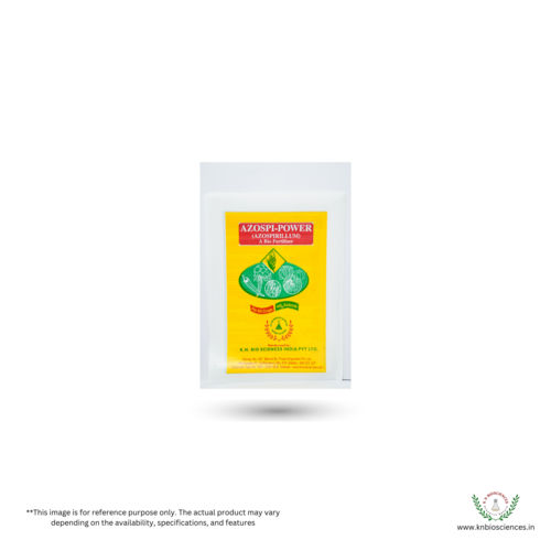 Azospirillum Bio Fertilizer : Boost Crop Productivity with Our Revolutionary Nitrogen Fixing Bacteria!