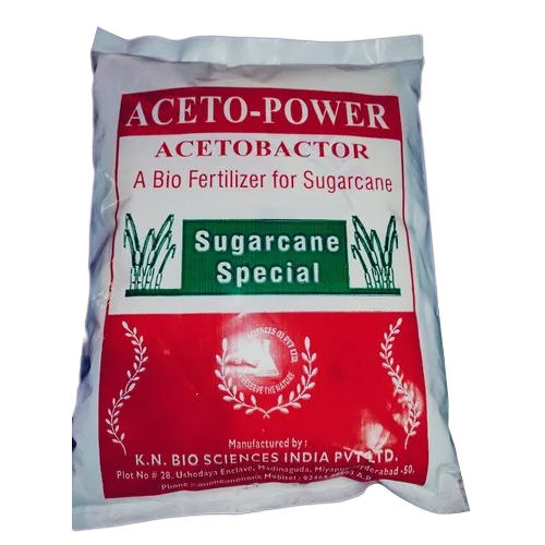 Acetobacter Bio Fertilizer For Sugarcane